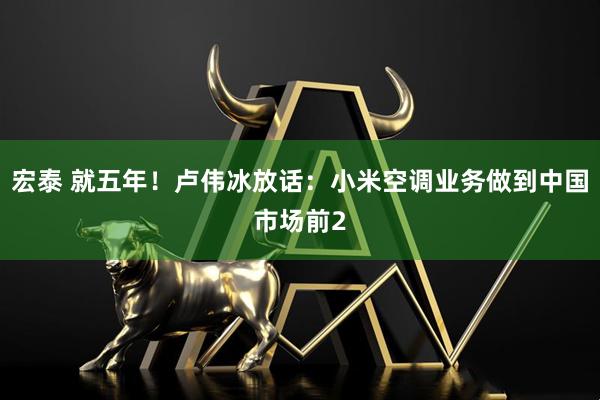 宏泰 就五年！卢伟冰放话：小米空调业务做到中国市场前2