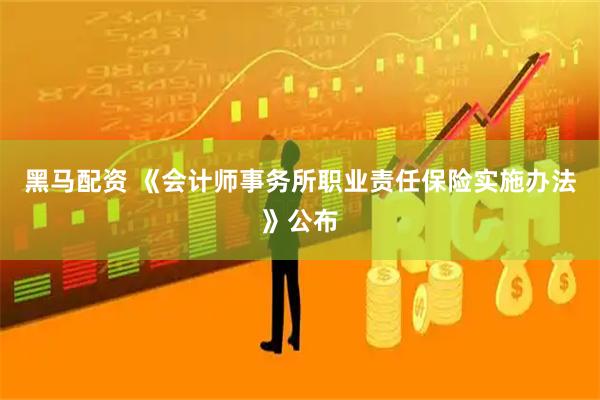 黑马配资 《会计师事务所职业责任保险实施办法》公布